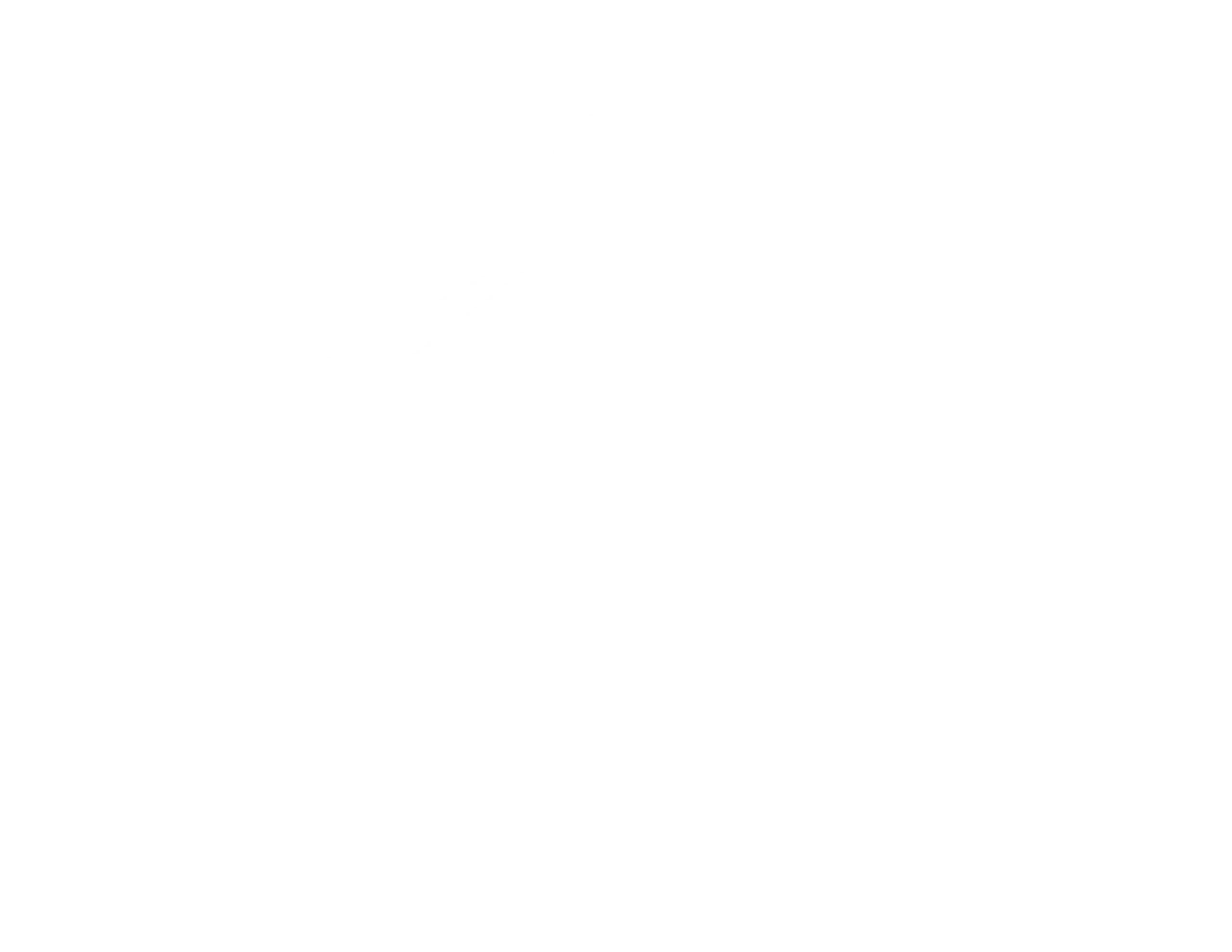Romondo's Subdivision white